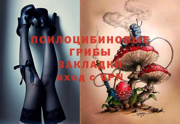 сатива Кулебаки