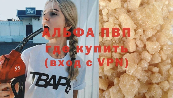 сатива Кулебаки