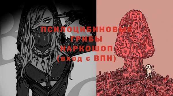 сатива Кулебаки