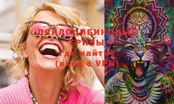 PSILOCYBIN Ладушкин
