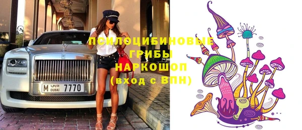 apvp Лабытнанги