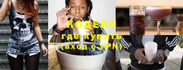 сатива Кулебаки