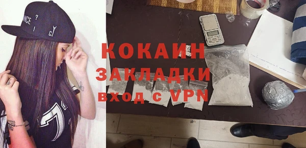 сатива Кулебаки