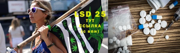 сатива Кулебаки