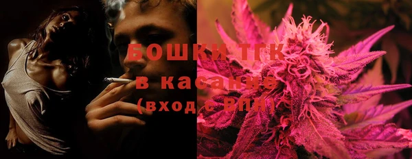шишки Кукмор
