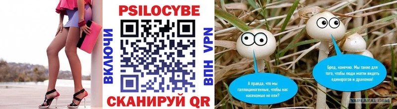 Псилоцибиновые грибы MAGIC MUSHROOMS  где купить наркоту  Яблоновский 