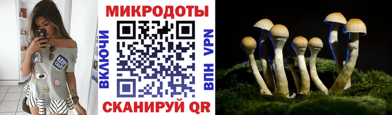 Галлюциногенные грибы Psilocybe Яблоновский